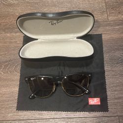 Ray-Ban Clubmaster Sunglasses 