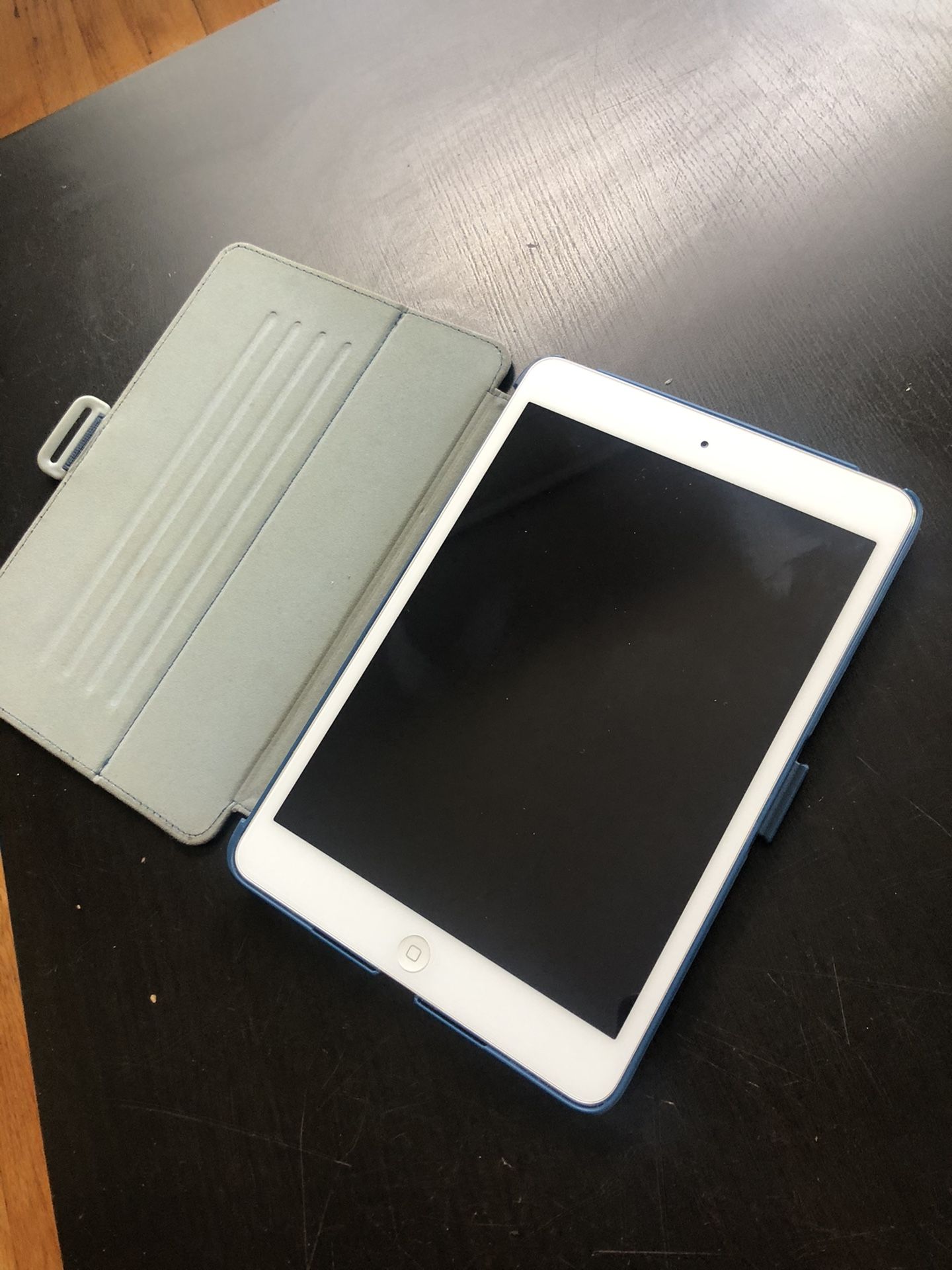 iPad Mini 2