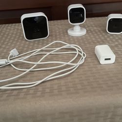Blink Indoor Cameras 