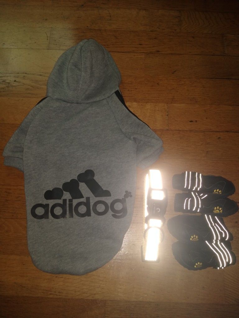 Medium Dog Trail Shoes, Collar, and Hoodie