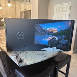 Dell Computer Monitor 