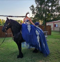 Quinceanera dress
