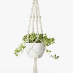Plant Hanger Indoor 