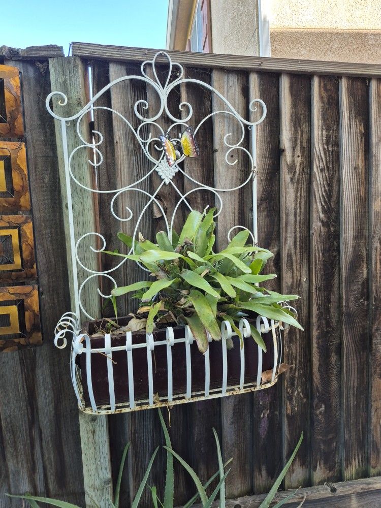 Flower Pot