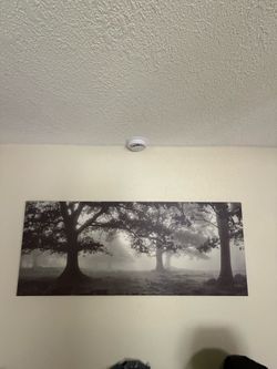 Xl long painting