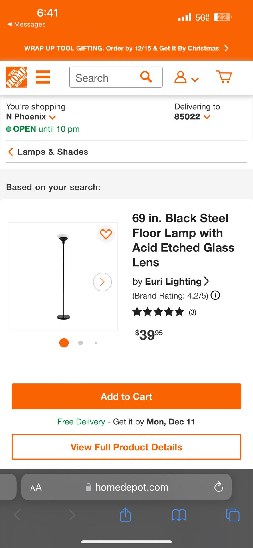 69 in. Black Steel Floor Lamp with Acid Etched Glass Lens