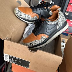 Nike Air Safari Nrg Shoes
