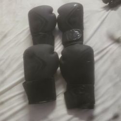  16 Oz And 14 Oz Venom Boxing Gloves