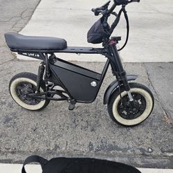 Roadrunner Pro Electric Bike