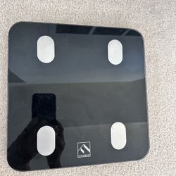 FITINDEX Bluetooth Body Fat Scale (model ES-26M)