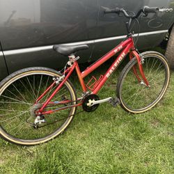 Raleigh Bike