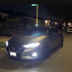 2019 Nissan Maxima
