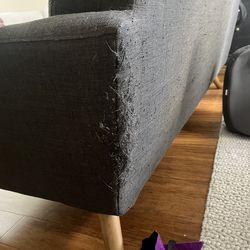 Free couch with cat damage