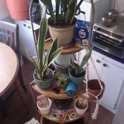 Metal Corner Shelving Stand With Plants And Ceramic Pots Including A long With Seeds And Bluetooth Speaker