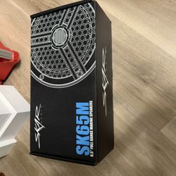 Skar Audio Marine Speakers 