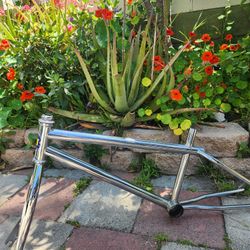 GT 1983 Pro Frame And Forks