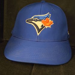 Blue Jay's cap