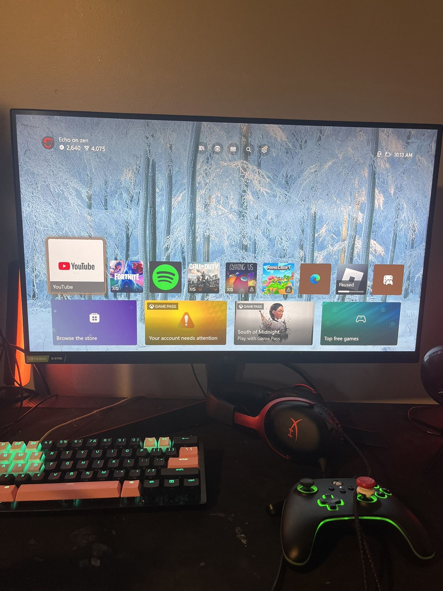 Gaming Setup