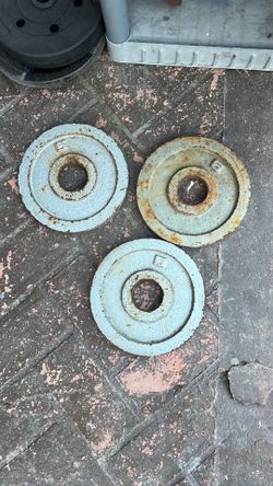 5 lb weights for bar