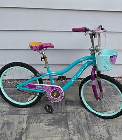 Schwinn kids bikes
