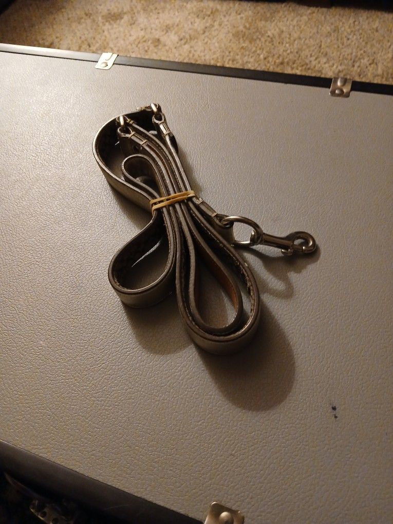 Coach Dog Leash (LG)