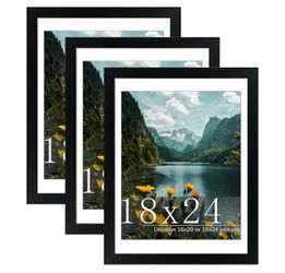 18x24” Black Frames (3)