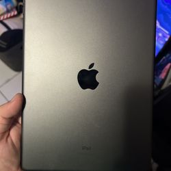 Apple Ipad 9th Generation 