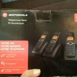 Telephone set for landline