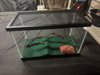 Reptile Cage