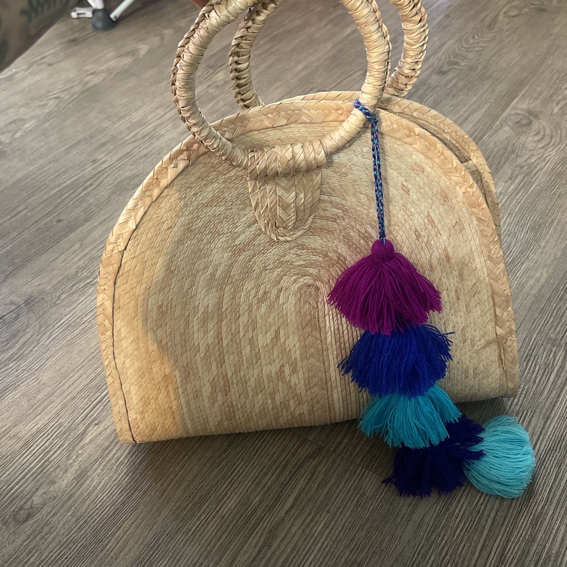 Beach Bag/purse
