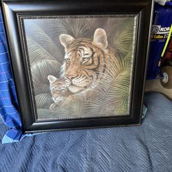 Pictures Are 391/2  By 391/2