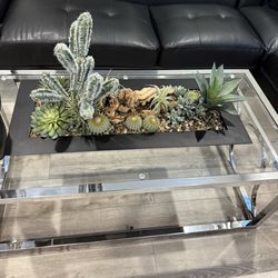 Decorative center piece for coffee table