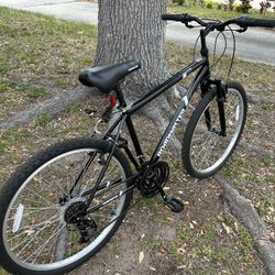 Jamis Boss Cruiser Bicycle SERVICED