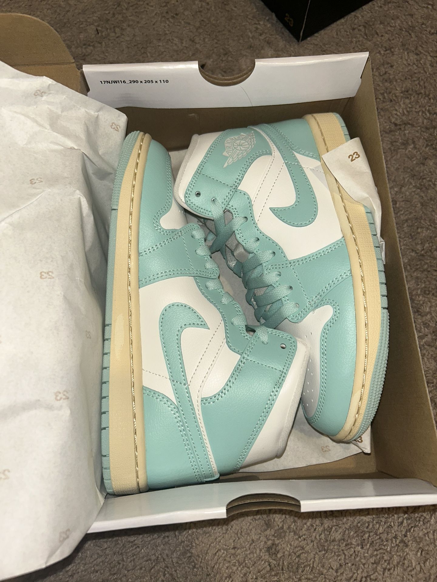 Brand new jordans