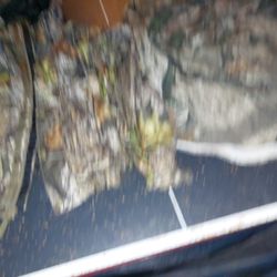 Mossy Oak Camouflage Gear