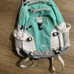 High Sierra Backpack