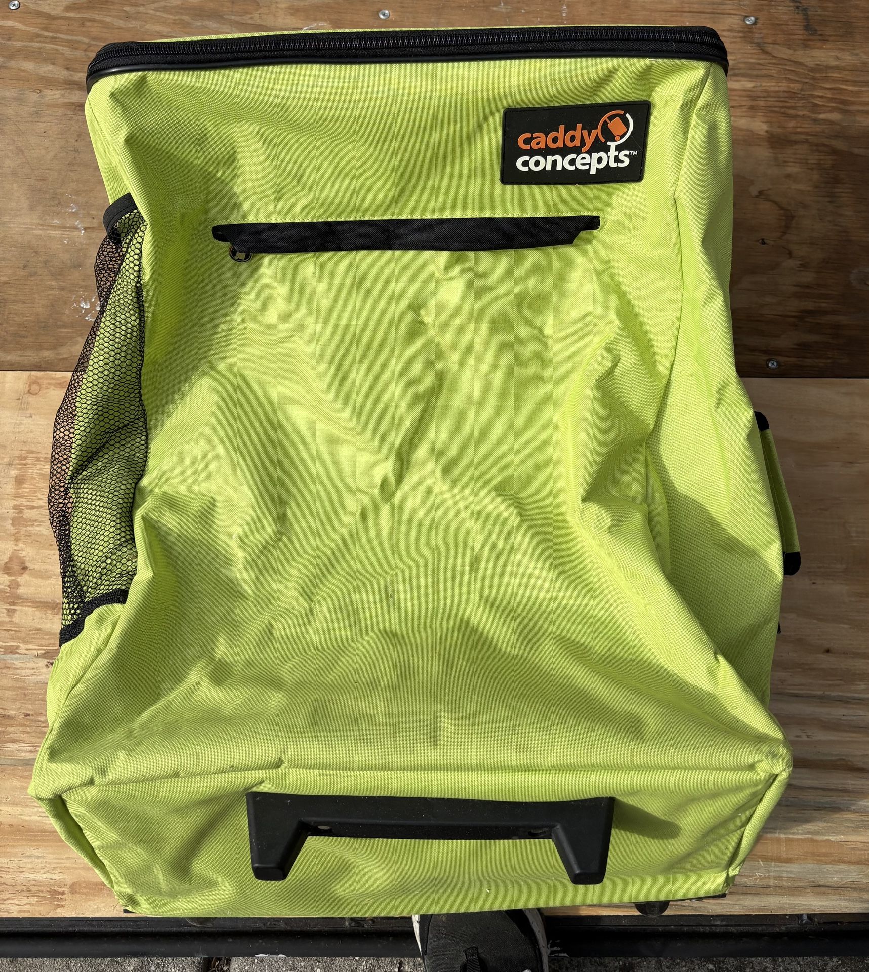 Large Carrier/Beach/Sports Bag