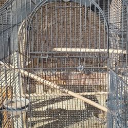 Bird Cage
