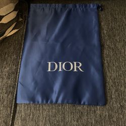Dior Shoe Bag 