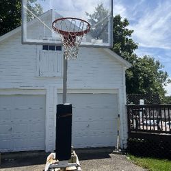 Basketball Hoop 