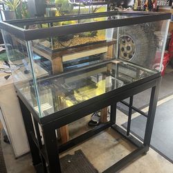40 gallon tank with stand