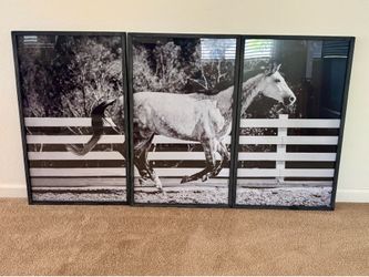 Black and White Horse Triptych Framed Wall Art