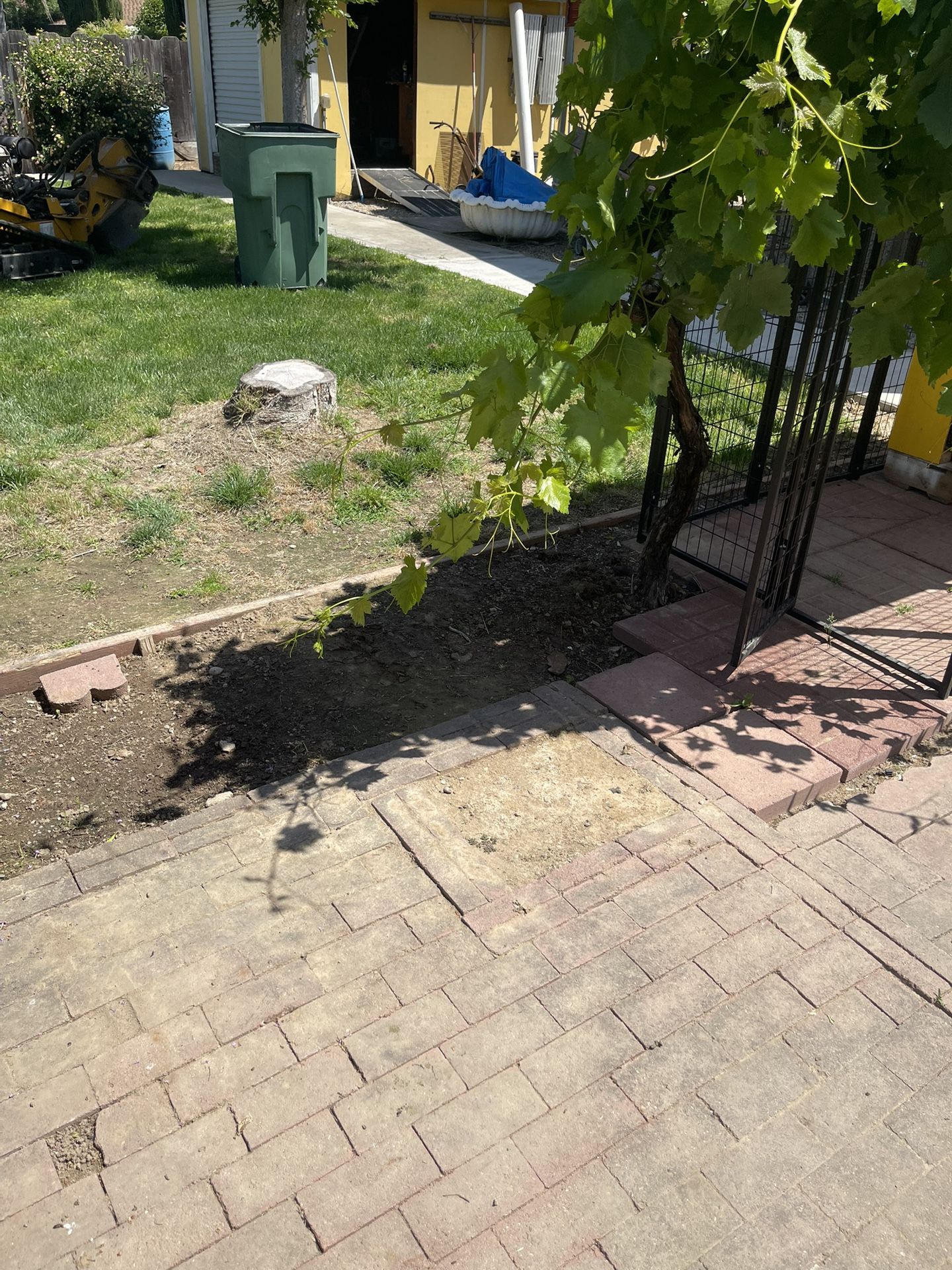 Stump Grinding
