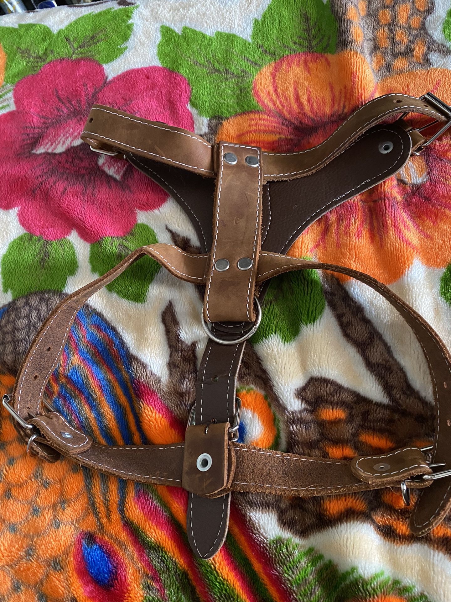 Dog Harness Large To Mid 