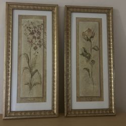 Framed Orchid & Rose Botanical Prints – Set of 2