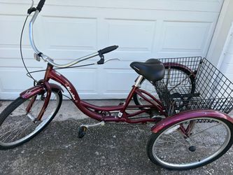 Adult Tricycle for Sale