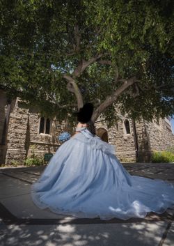 Quinceañera Dress Size Xl