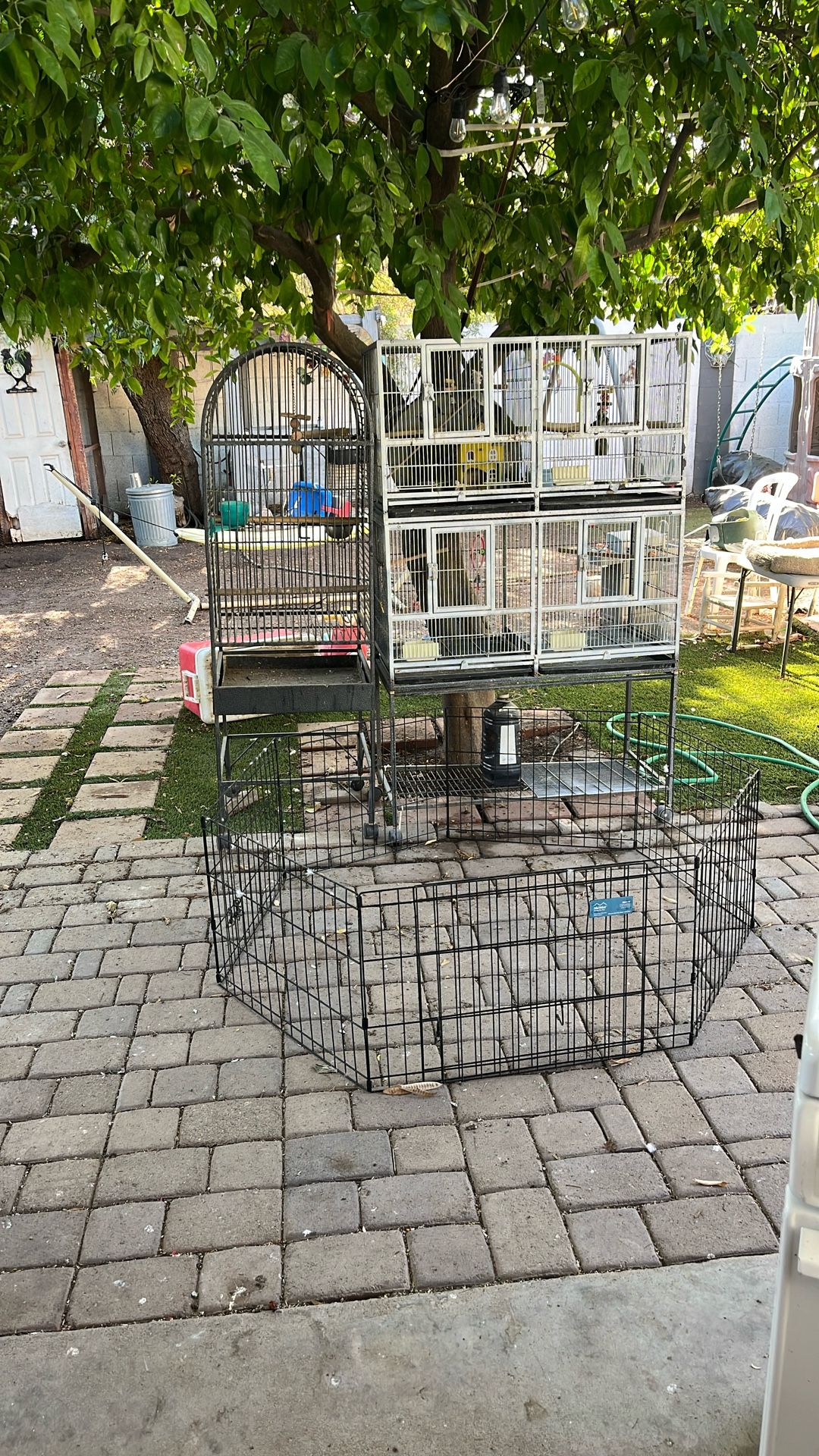 Jaulas Y Corral Para Perros