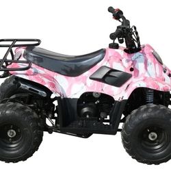 Tao Tao 110 Cc Atv 