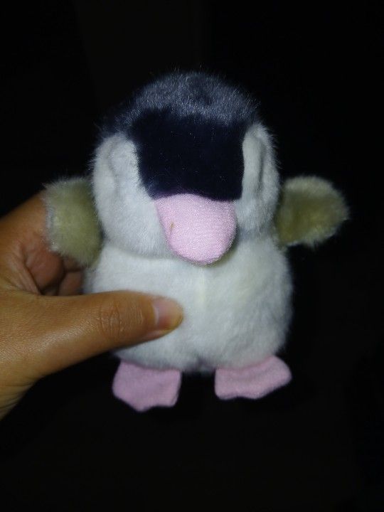 Little Penguin 🐧